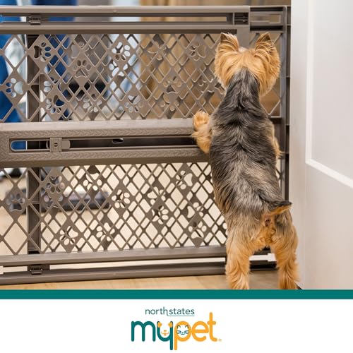 Paws Portable Pet Gate