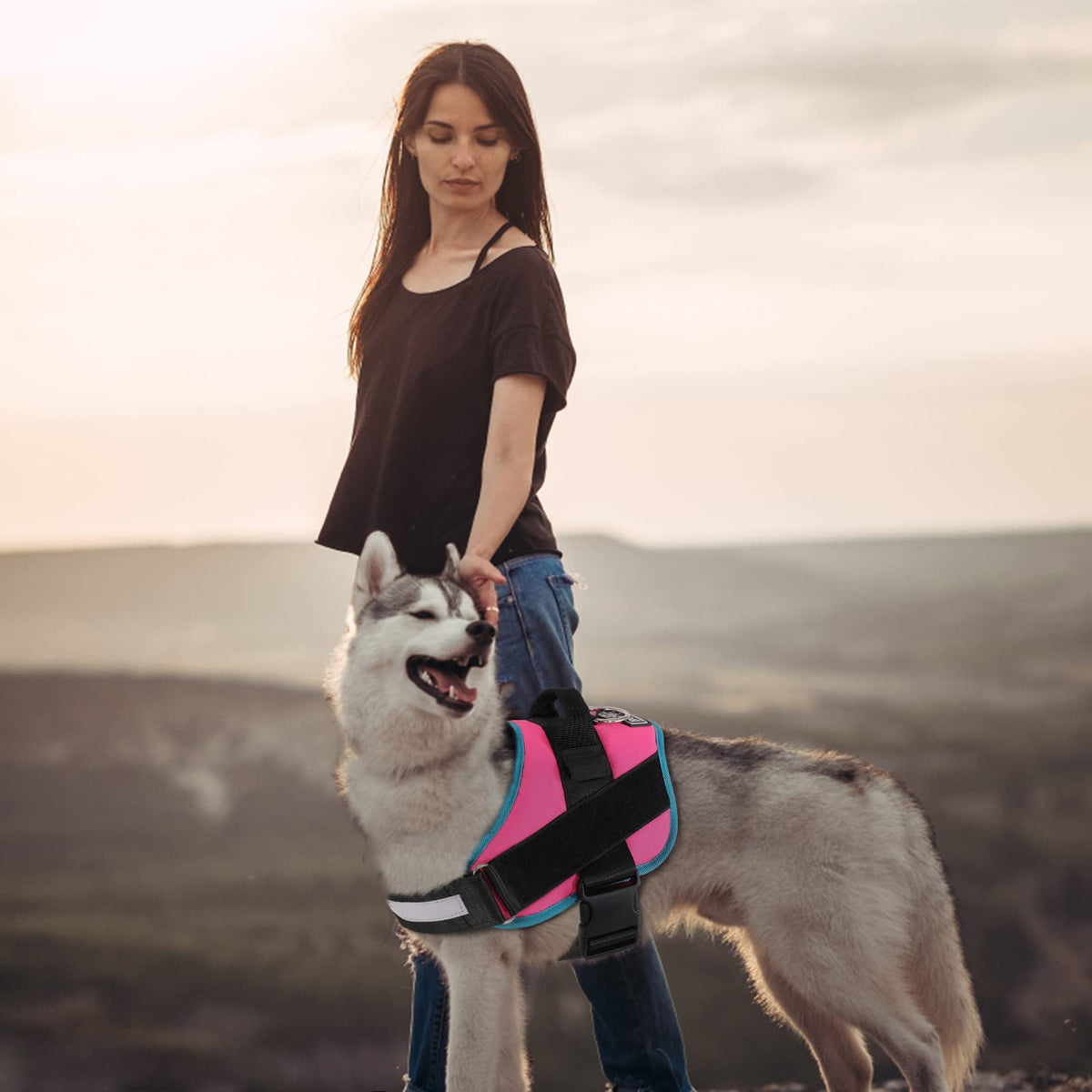 Dog Harness No (X-Large (Pack of 1) / RoseTurquoise)