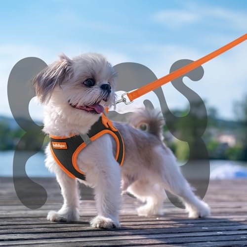 Dog Harness Small Sized and Leash Set (Black & Orange / XS (Chest: 13.3"-15.5"))