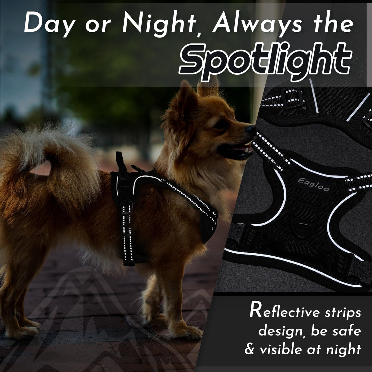Dog Harness for Small Dogs (X-Small / Black)