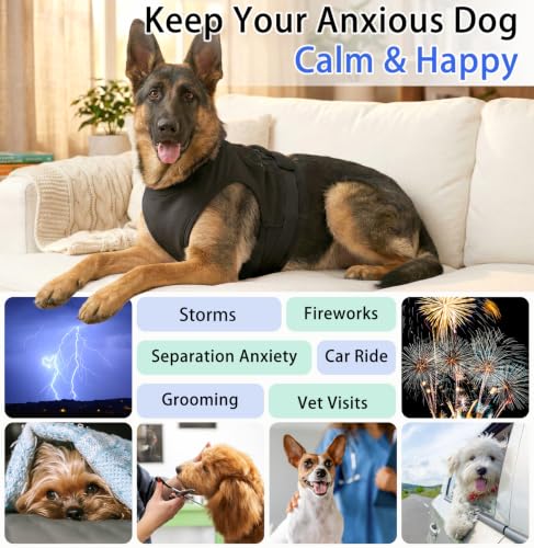 Dog Anxiety Relief Vest (Black / X-Small (Chest: 16.9"/43cm))