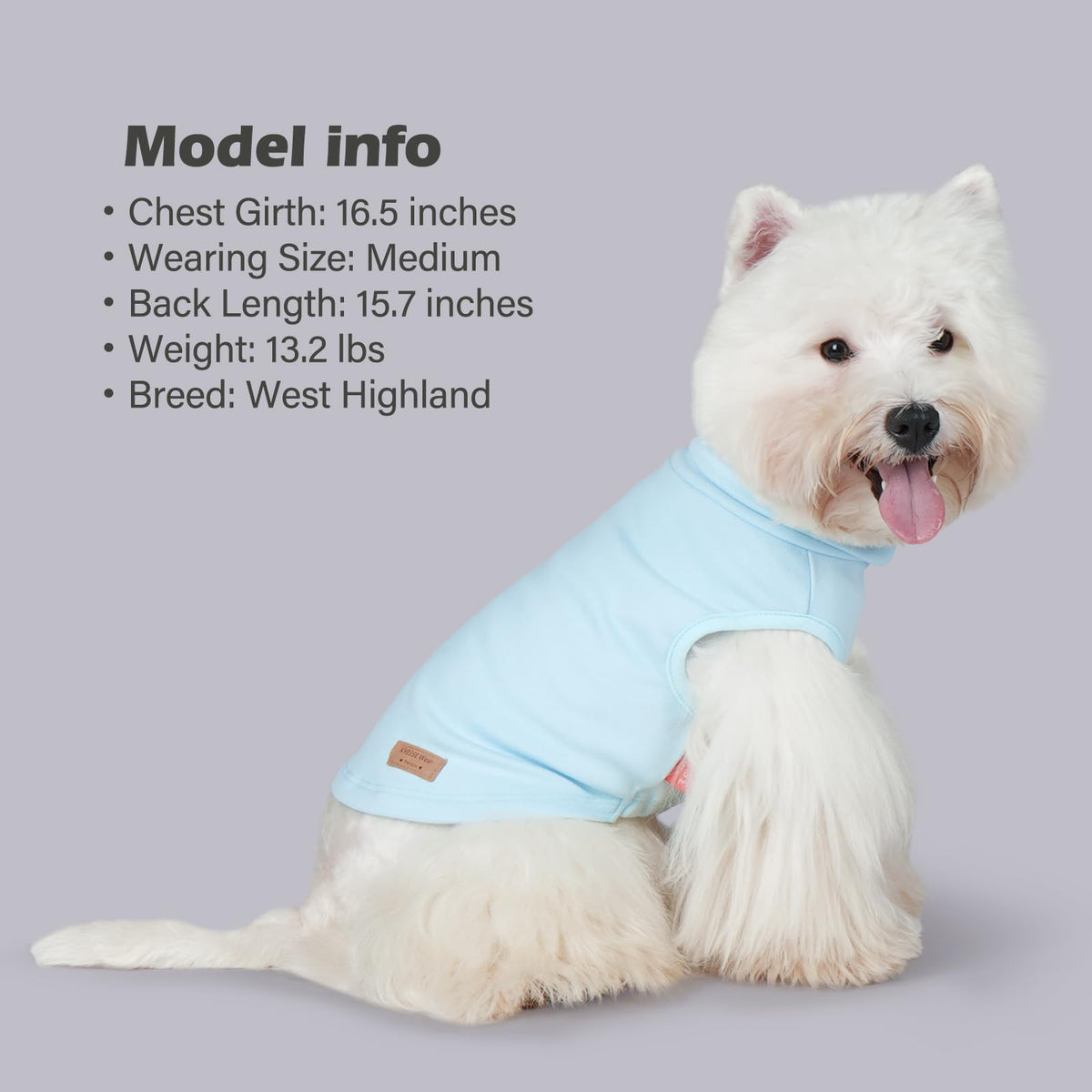 2Pack Dog Sweater for Small Dogs Soft Pet Coats Fleece Sweatshirt (Large (12-18lbs) / 6# Stripe+blue)