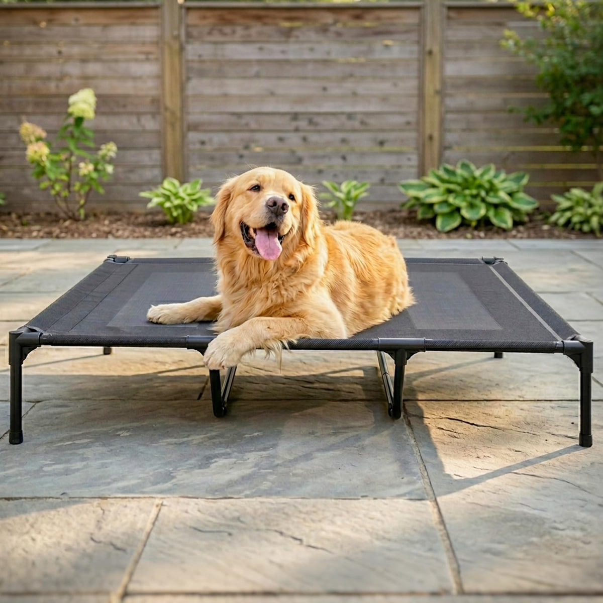Elevated Dog Bed for Large Dogs 120lb (XL (48"L x 36"W x 9"H) / Grey)