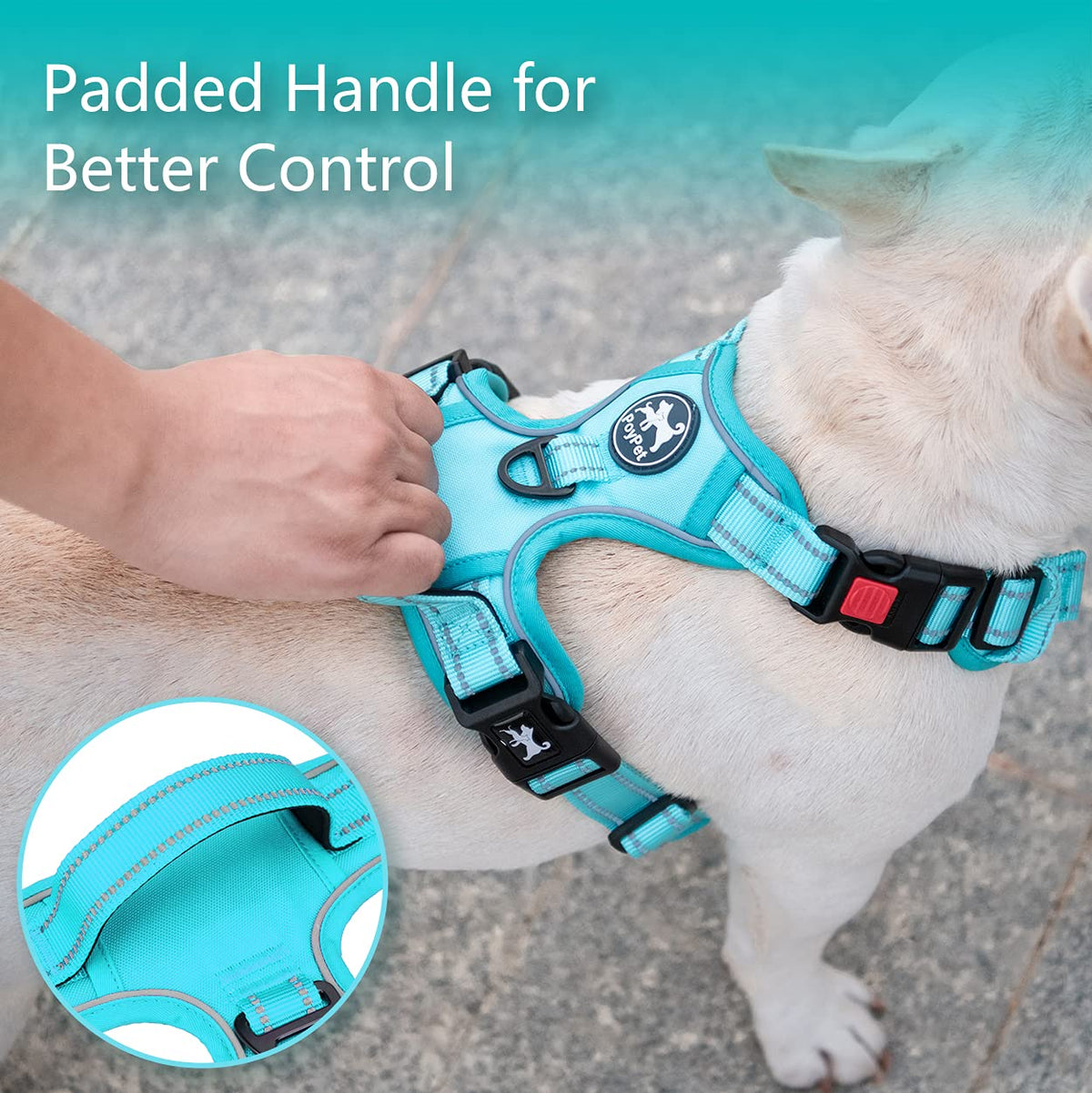 No Pull Dog Harness (Medium / Mint Blue(Matching Trim))