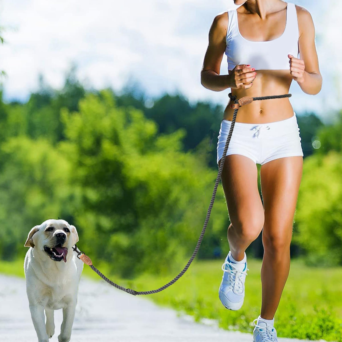 Hands Free Dog Leash (Blue Green / 7FT Hands Free)