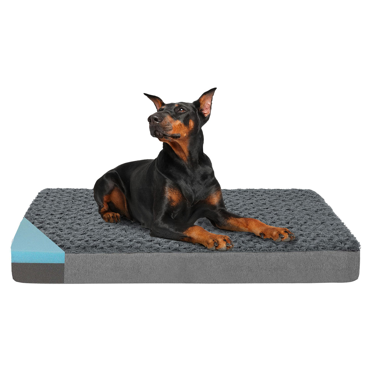 Orthopedic Memory Foam Dog Bed (Rose Plush / XX-Large-47"x 29" x 3.5")