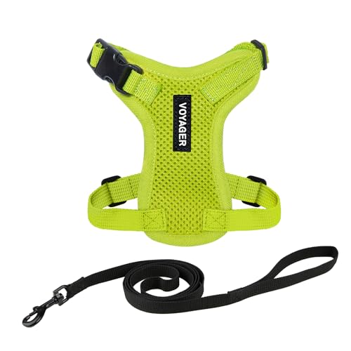 Voyager Step in Lock Cat Harness & Leash Set (Lime Green / XXXS (Chest: 10.5 - 13"))