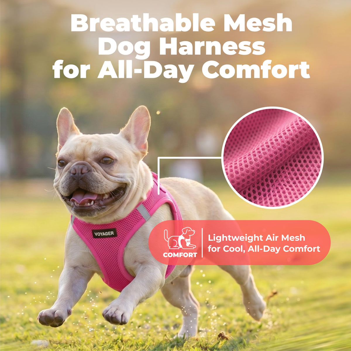 Voyager Step in Air Dog Vest Harness (Fuchsia / XL (Chest: 20.5 - 23"))