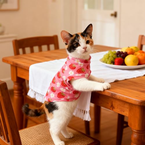 Cat Sweater Warm Fleece Pet Clothes for Cats Only (Strawberry Pink / Medium)