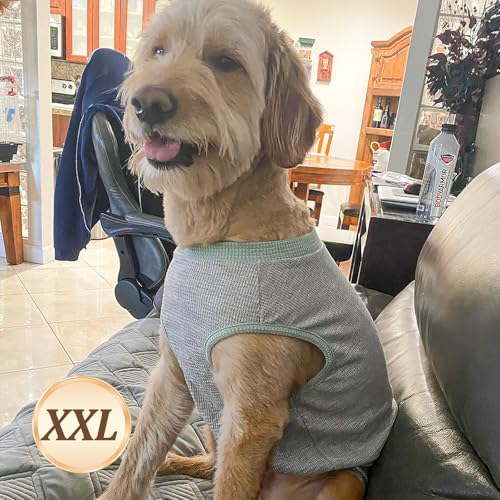 2Pack Waffle Dog Shirt for Medium Large Dogs Striped Dog Sweater (XX-Large (28-50lbs) / 2Pack(Green+Grey))