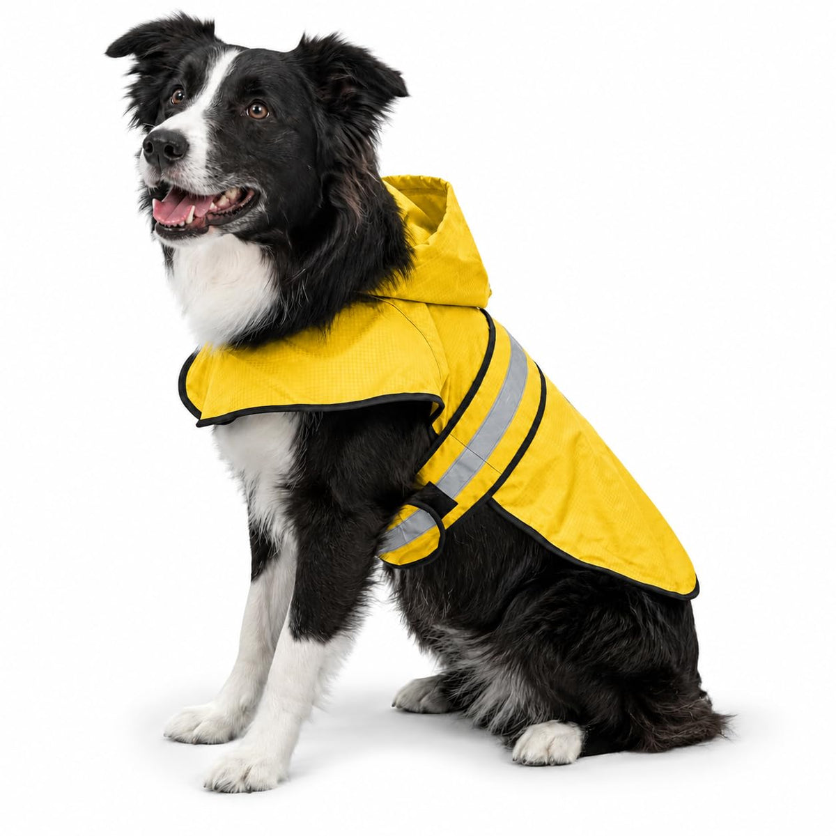 Dogg Toggs Raincoat (Yellow / Medium)