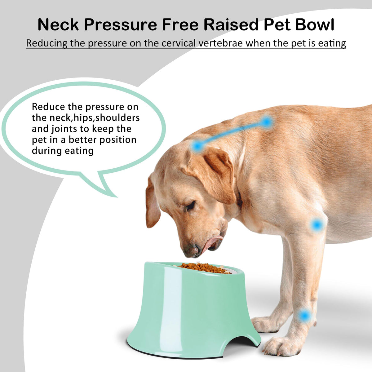 Tilted Elevated Dog Bowls Non (M/2 Cup / Green)