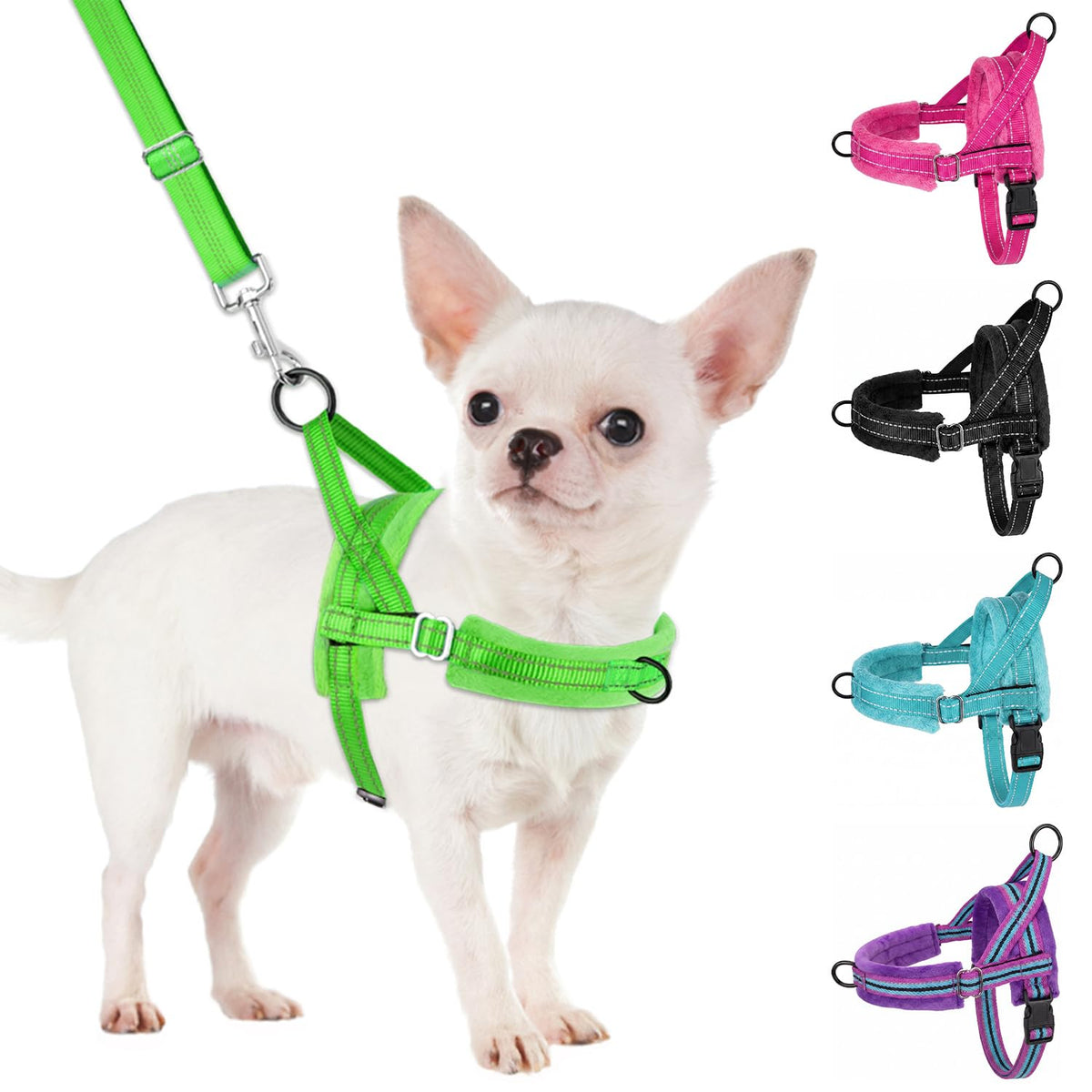 No Pull Small Dog Harness and Leash Set with Front Clip (Small / Green)