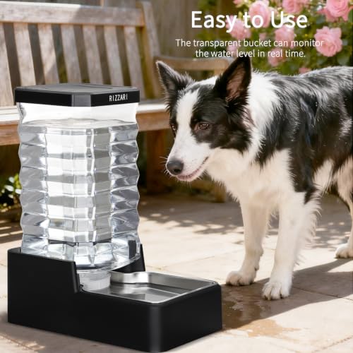 2.64 Gallon Dog Cat Water Dispenser (Black with Lid / 10L)
