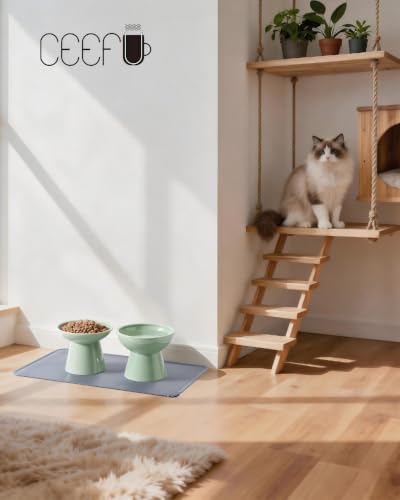 2 Pack Elevated Ceramic Cat Bowls Extra Wide for Food & Water + Food Mat Sage Green+Mat (Sage Green+Mat)