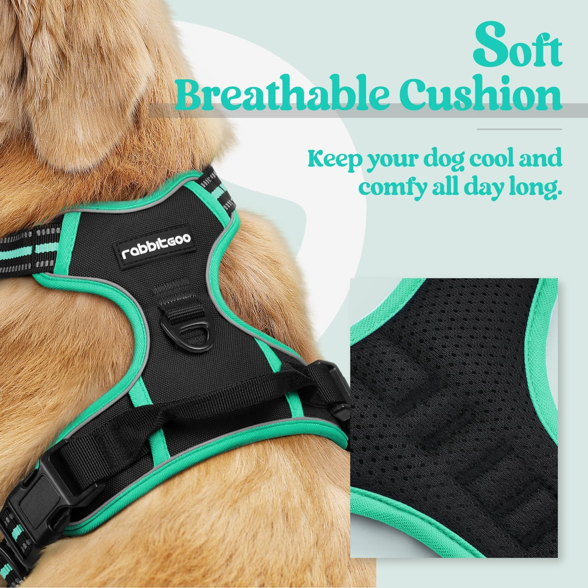 Dog Harness No Pull for Small Dogs with 2 Leash Clips (Small / Black & Turquoise)
