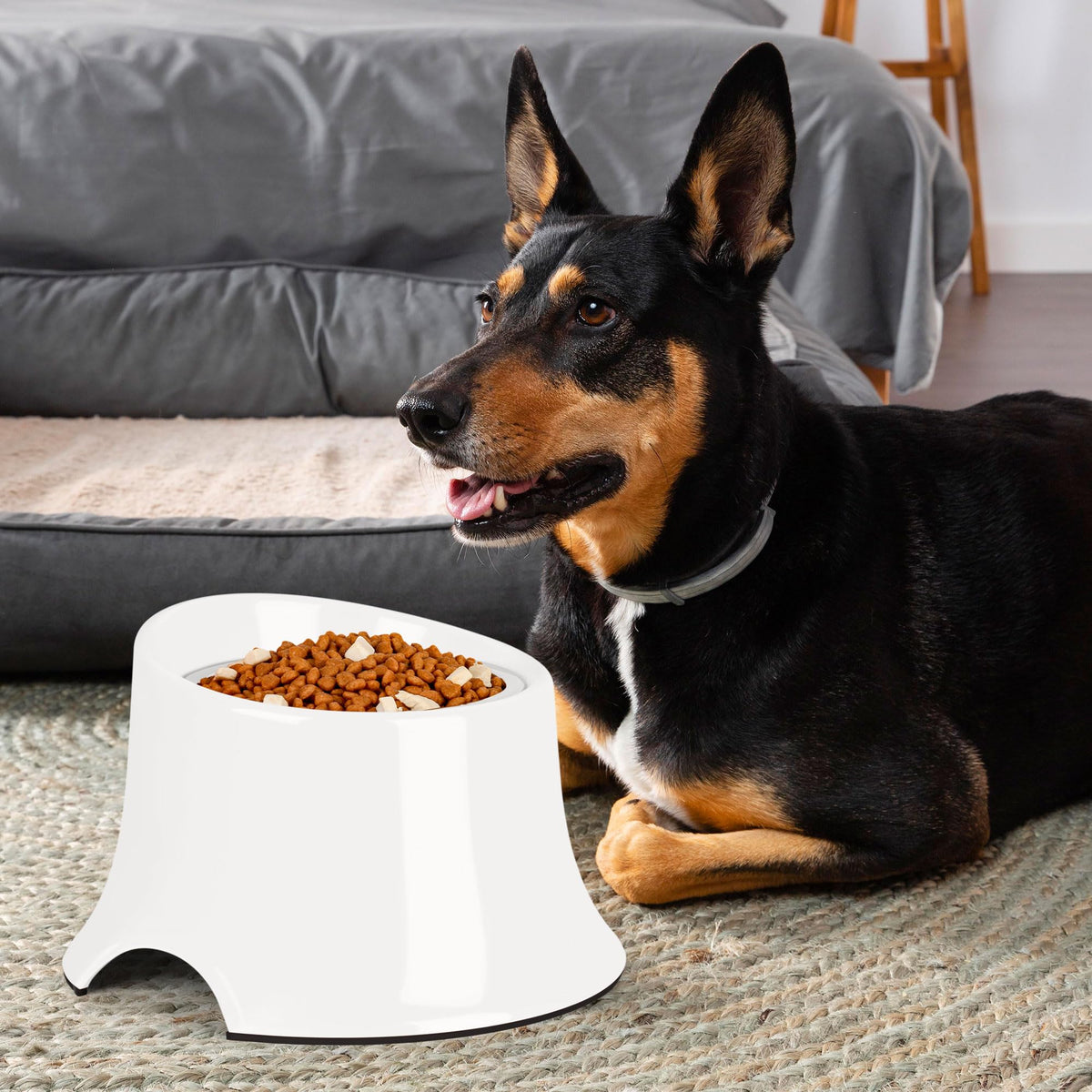 Dog Bowls Non (S/1 Cup / White)