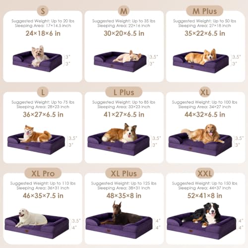 Orthopedic XXL Dog Bed (Purple / 46.0"l X 35.0"w X 7.5"th)