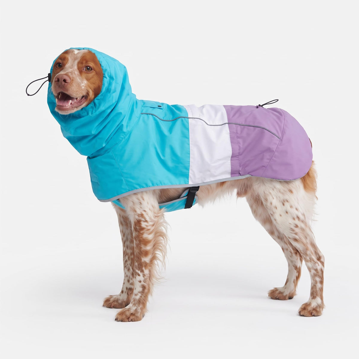 Dog Raincoat Waterproof Rain Jacket w (Aqua White Purple / X-Large)