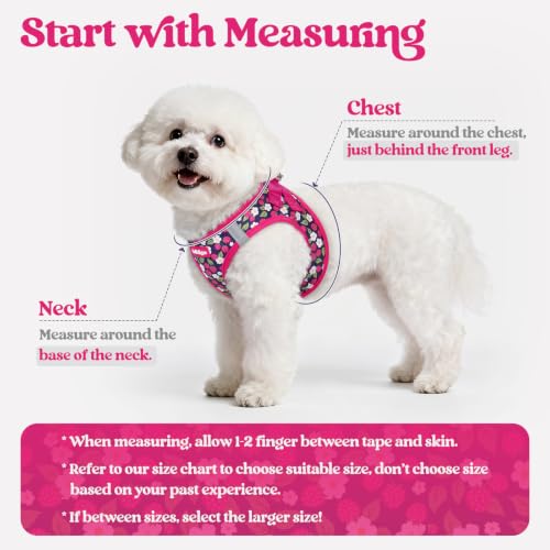 Dog Harness Medium Sized and Leash Set (Pink Berry / M (chest: 16 - 18.5"))