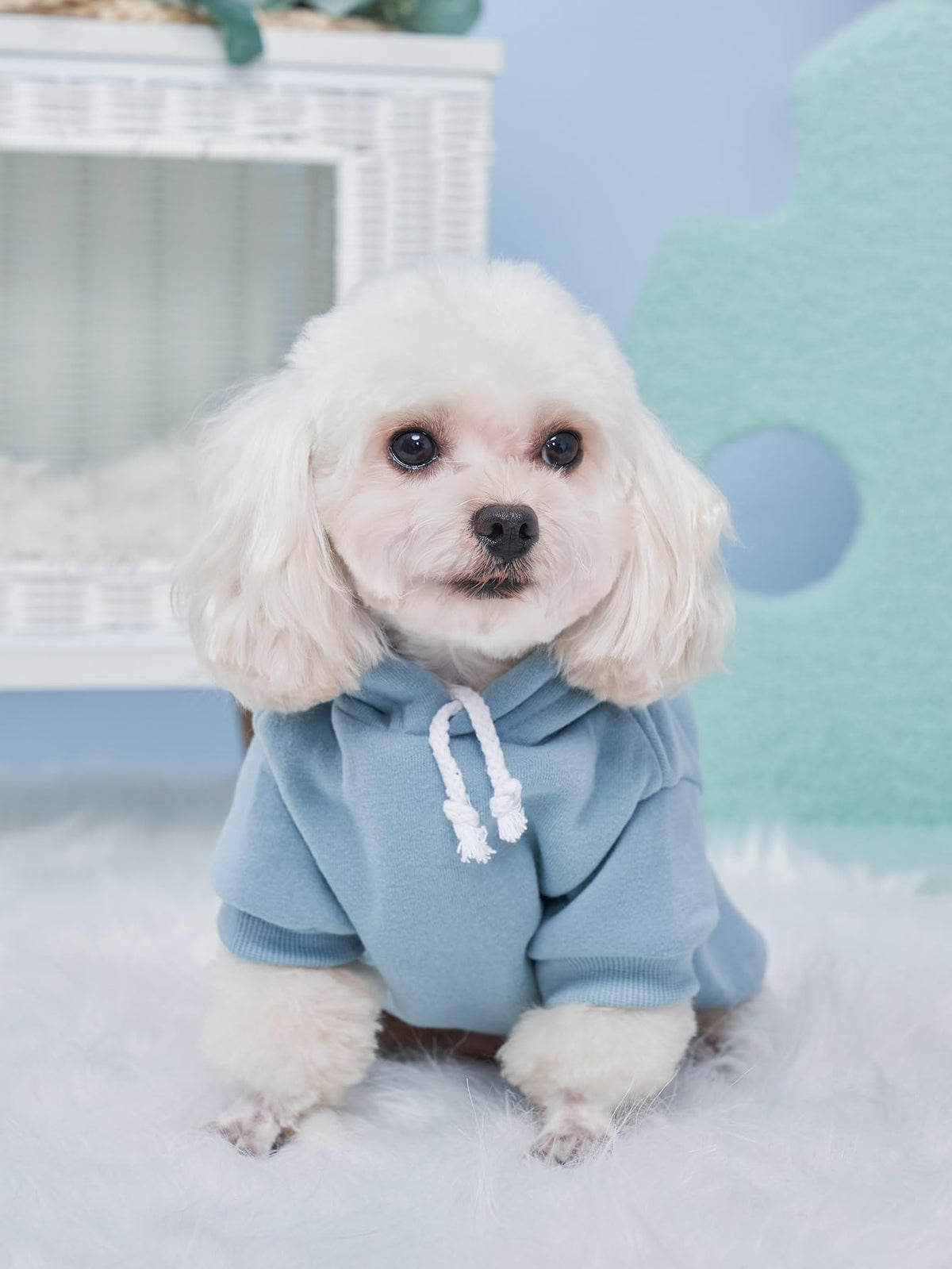 Basic Dog Hoodie Sweatshirt Puppy Sweater Warm Cat Costumes Pet Clothes for Chihuahua Puppy Kitten Small Medium Dogs Grey and Cadet Blue X (X-Large / Grey and Cadet Blue)