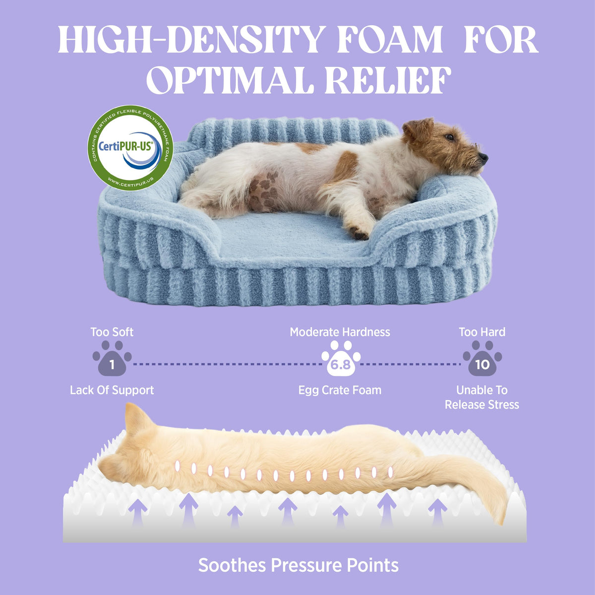 Cute Cozy High Back Orthopedic Small Dog Bed with Sides (24.0"l X 18.0"w X 6.0"th / Blue)
