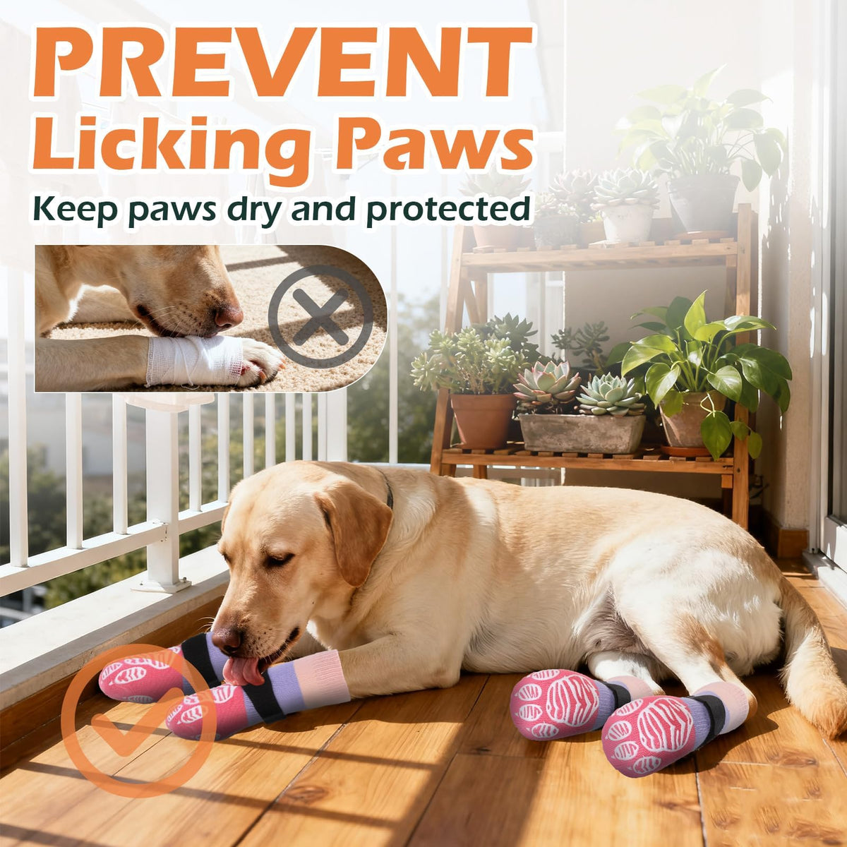 Anti Slip Dog Socks to Prevent Licking Paws