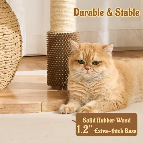 Modern Cat Tree for Indoor Small & Medium Cats (Natural w/ Bed-30")