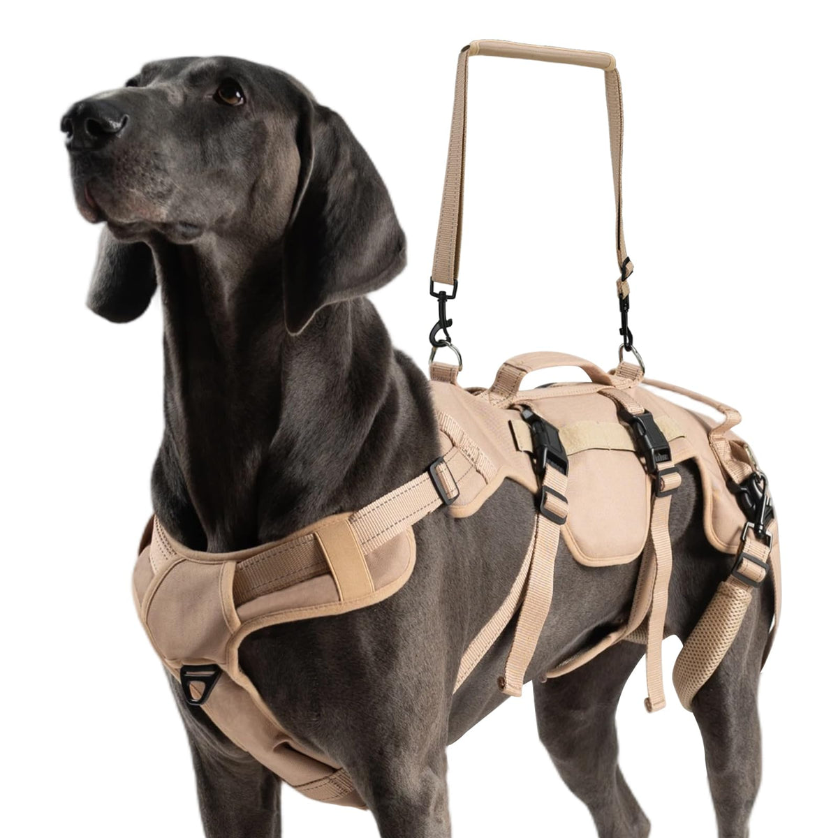 Dog Lift Harness for Large Dogs (Khaki / Large)