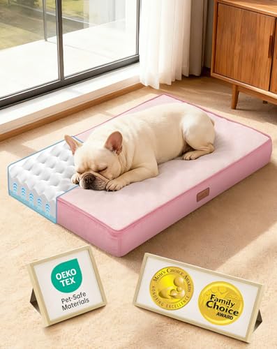 Orthopedic Waterproof Medium Dog Bed (30" x 20" x 3" (For Sprawling) / 02-Pink)