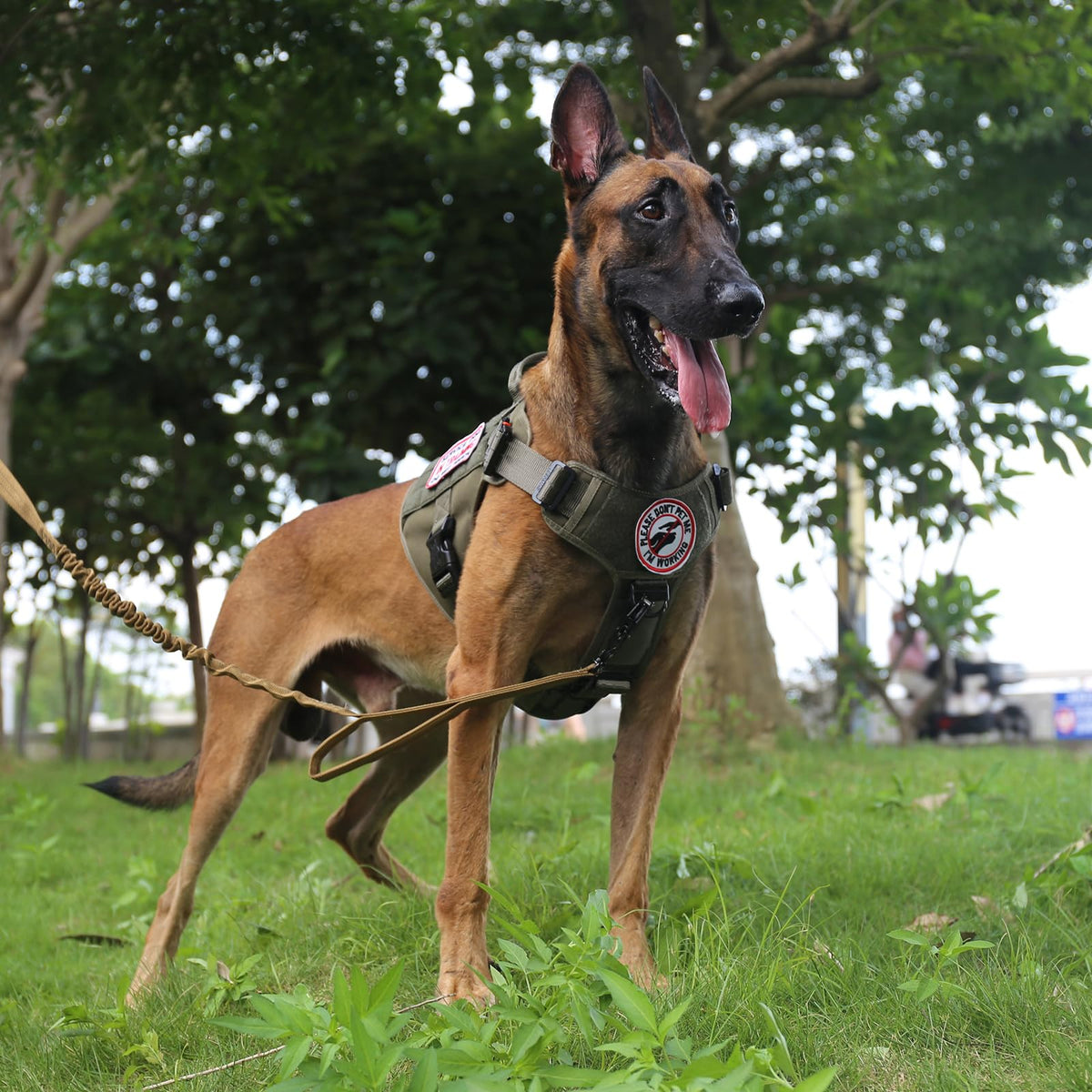 Tactical Dog Harness for Large Dogs (Large (Pack of 1) / Green)