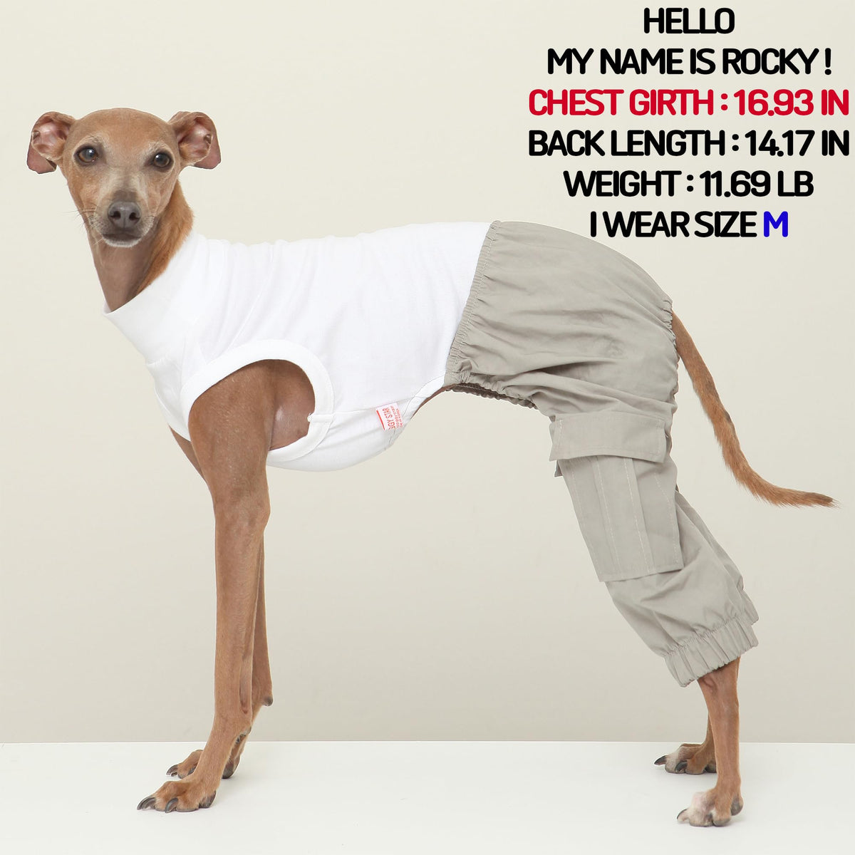 D Doggy Star Italian Greyhound Clothes Cargo Pants Onesie Outfit Whippet for Dog Coat (3XL / Grey Cargo)
