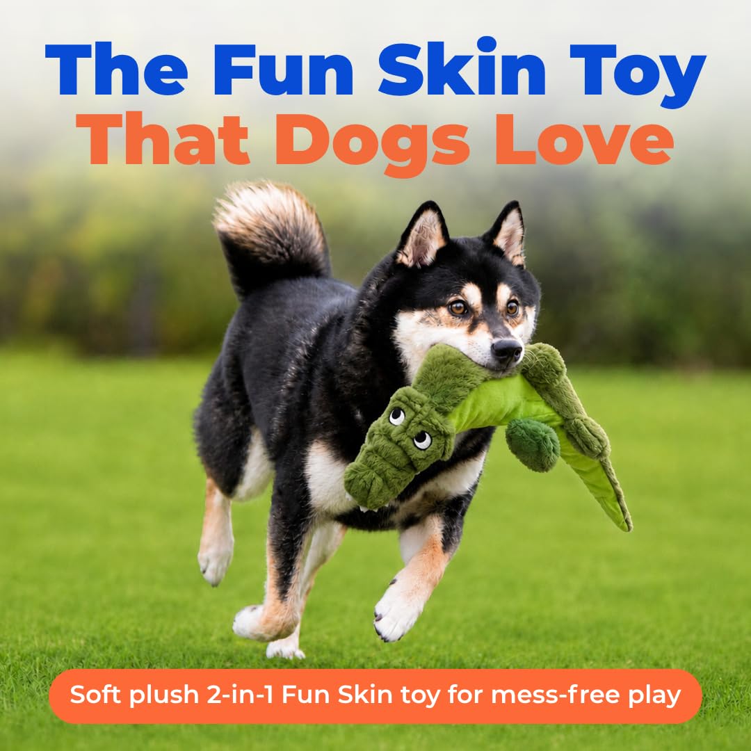 2-in-1 Stuffless Squeaky Dog Toy - Alligator, Medium (Green/Alligator / Medium)