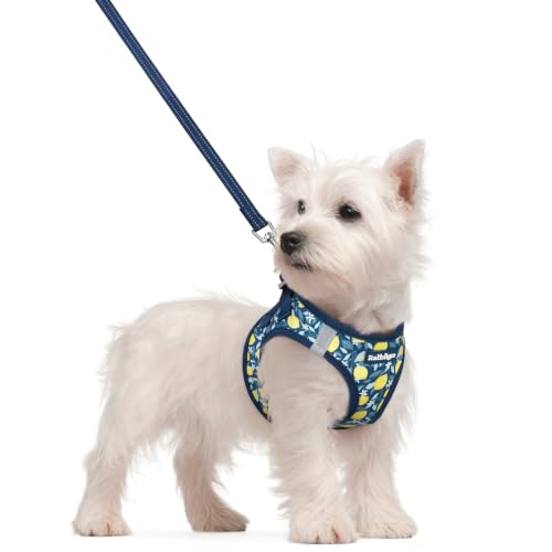 Dog Harness Small Sized and Leash Set (Navy Lemon / S (chest: 15.1 - 16.5"))