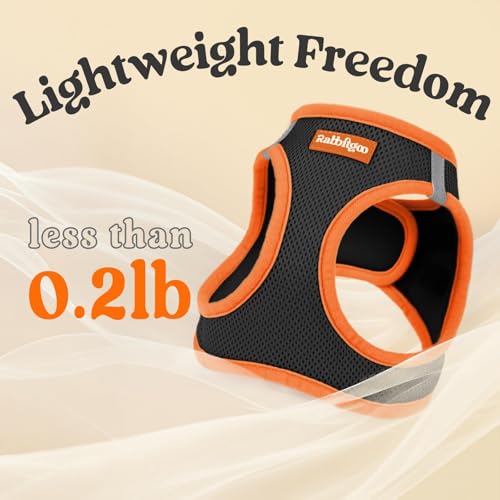 Dog Harness Small Sized and Leash Set (Black & Orange / XS (Chest: 13.3"-15.5"))