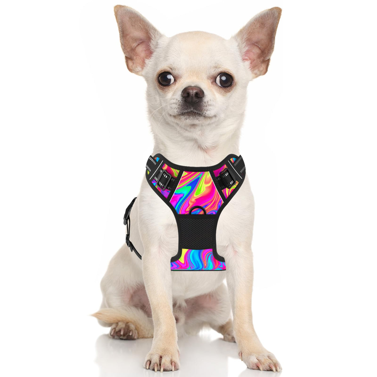 No Pull Dog Harness (Abstract Rainbow Art / X-Small)