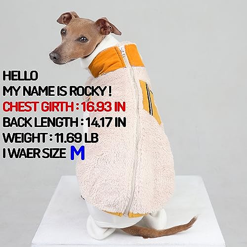 D Doggy Star Italian Greyhound Warm Fleece Zip (M / Zipup Mustard)