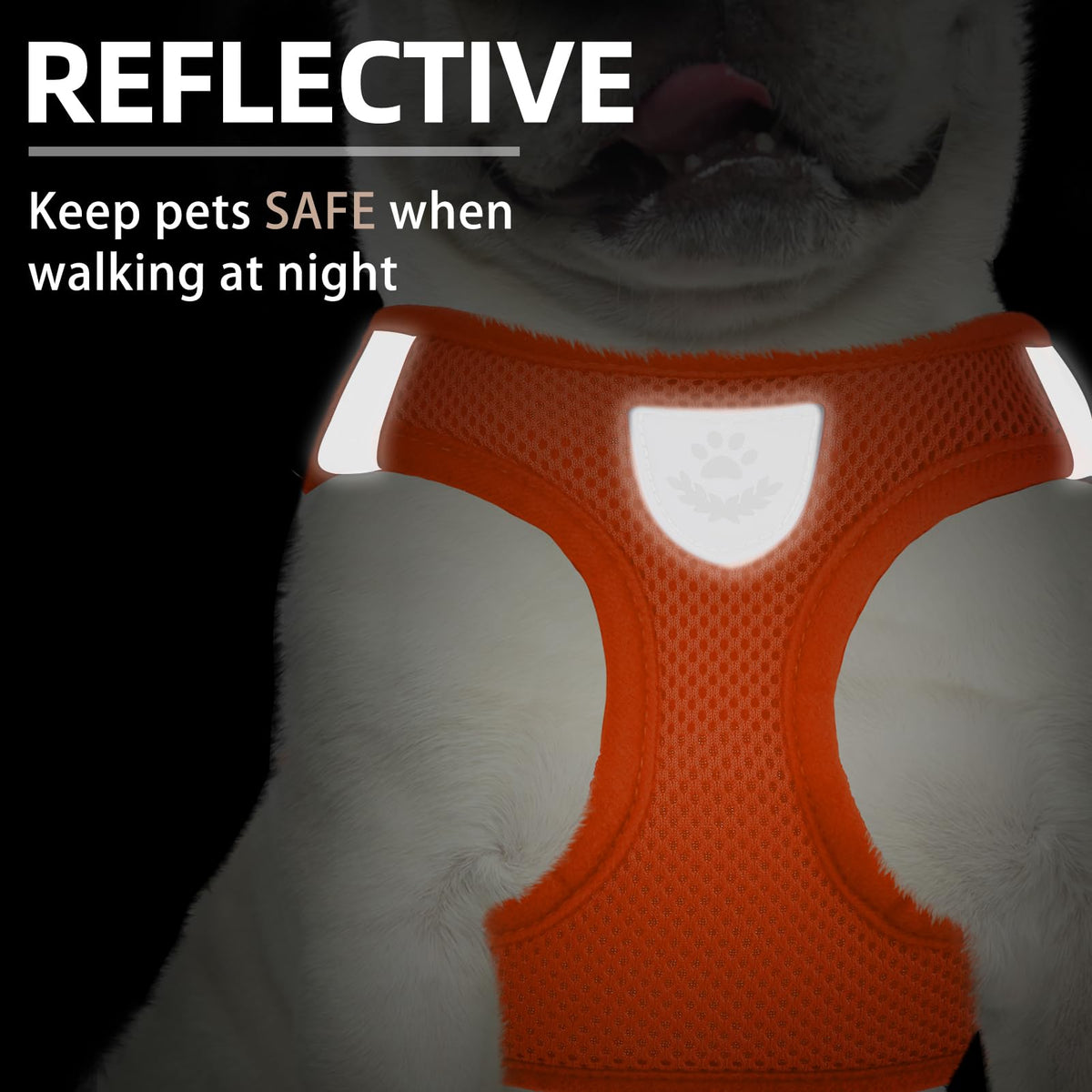 Dog Harness Collar and Leash Set No Pull for Small Medium Sized (Solid Orange / M (CHEST 16"-18"))