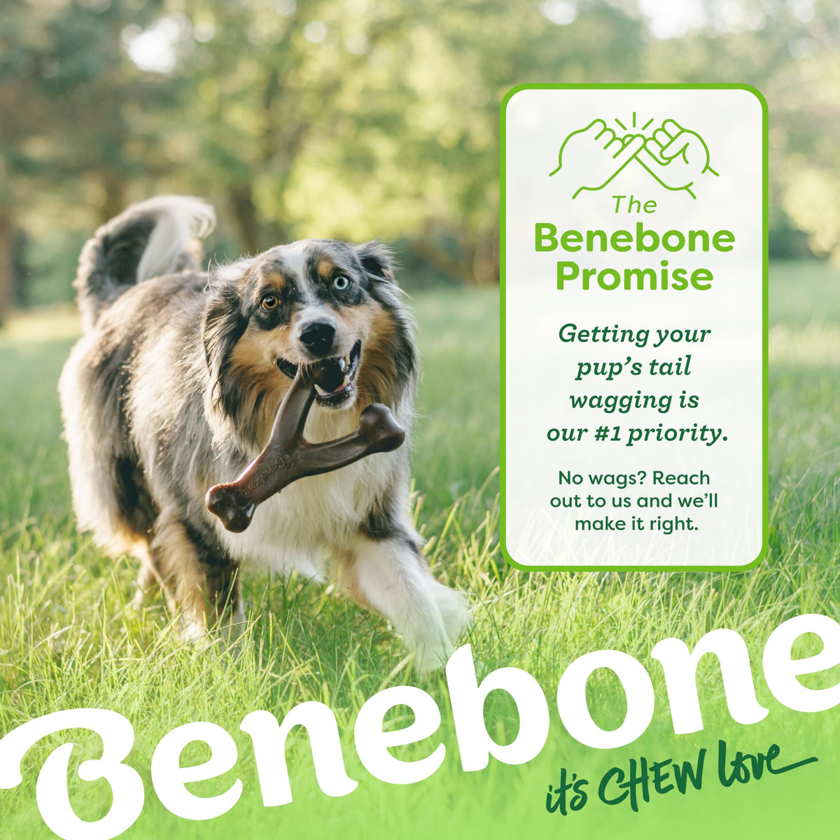 Wishbone Dog Chew Toy for Aggressive Chewers (Medium)