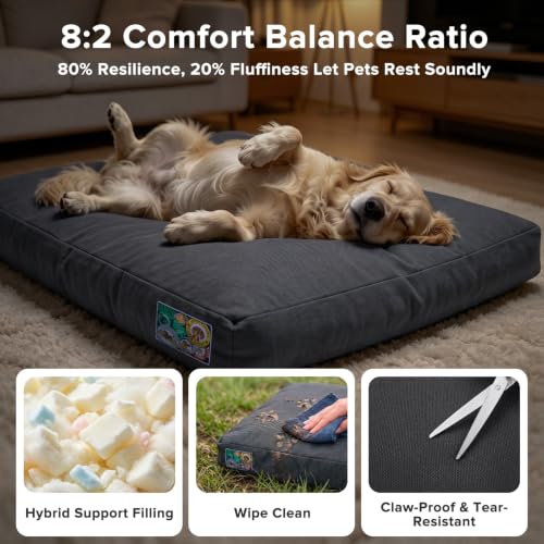 Chew Proof Indestructible Dog Bed (Grey / XL(42"x30"x4"))