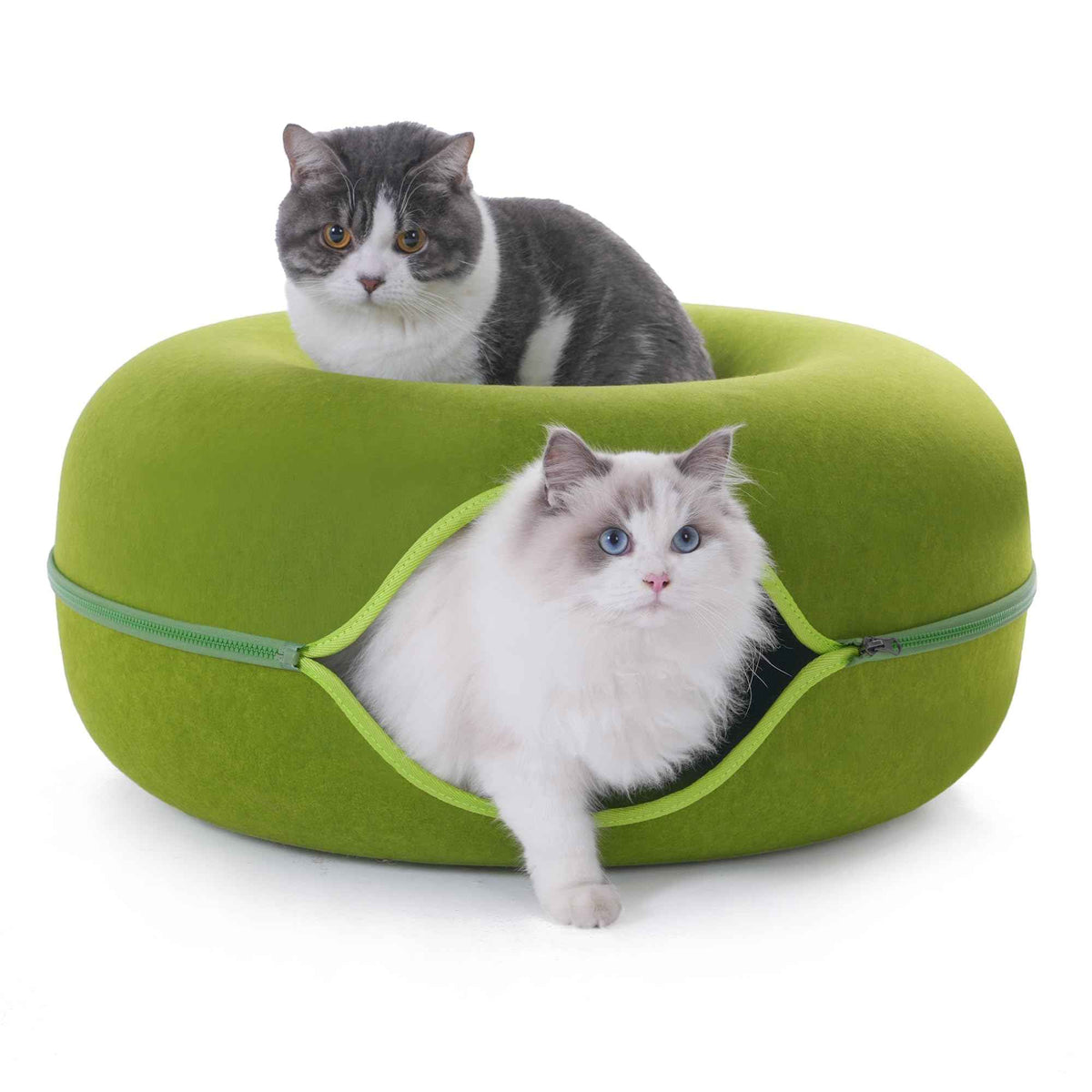 Large Cat Tunnel Bed for Indoor Cats with 3 Toys (L(24x24x11) / Green)