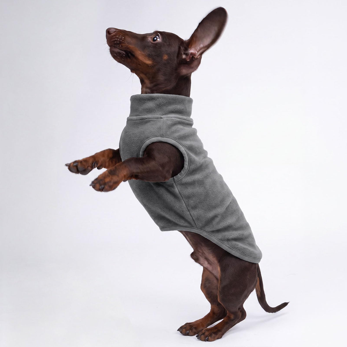 3 Pack Fleece Dog Sweaters for Small Dogs (Gray+Azure+Navy / XX-Large)