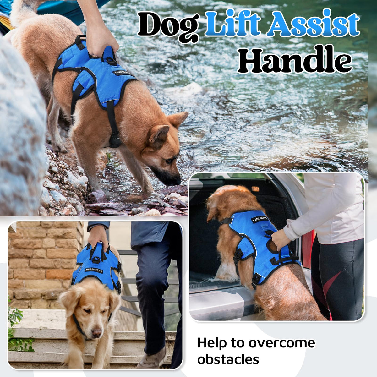 Escape Proof Dog Harness for Large (Blue / Large)