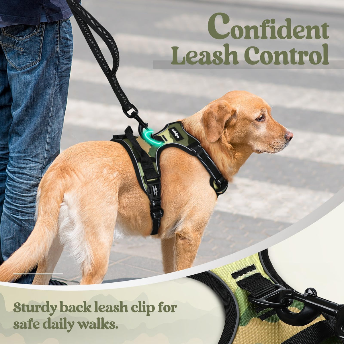 Dog Harness No Pull for Large Dogs with 2 Leash Clips (X-Large / Green Mountain)