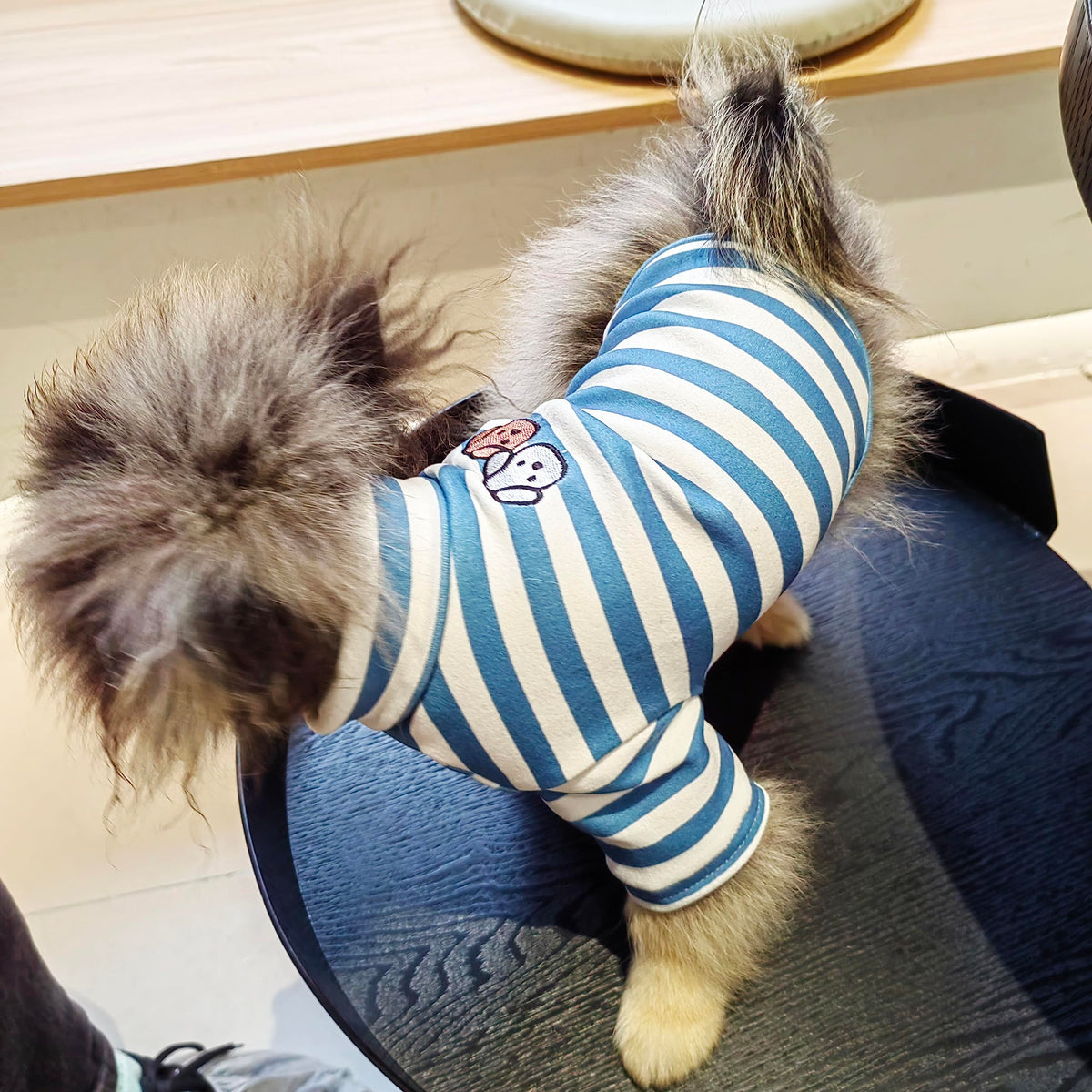 Turtleneck Dog Shirt Cute Doggie Embroidery Super Soft Dog Sweatshirt Stretchy Striped Puppy Pullover for Cats Small Medium Large Dogs (Blue Striped / X-Large)
