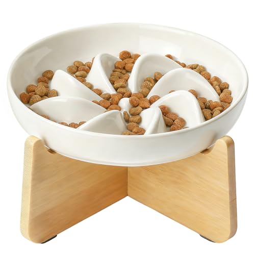 Slow Feeder Cat Bowl Elevated Ceramic with Bamboo Stand (Lotus)