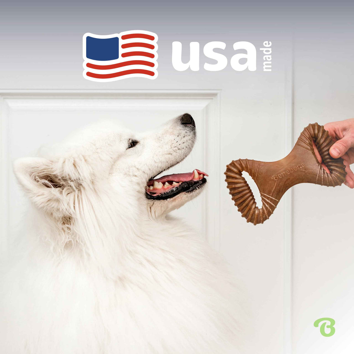 Dental Dog Chew Toy for Aggressive Chewers (REAL Peanut / Medium)