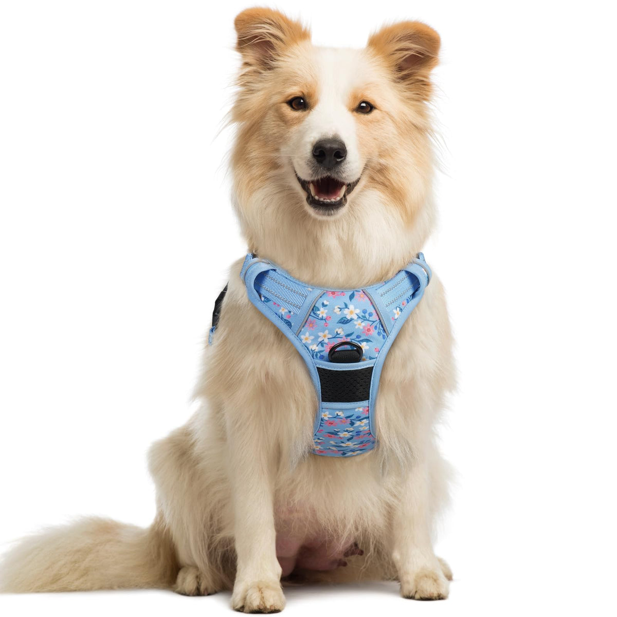 Dog Harness No Pull for Large Dogs with 2 Leash Clips (Medium / Blue Floral)
