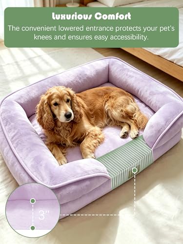 Orthopedic Dog Bed with Sides (35.0"L x 25.0"W x 6.5"Th / Purple)