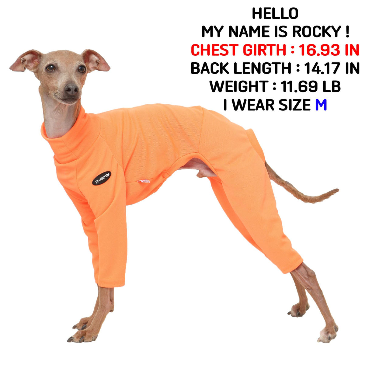 D Doggy Star Italian Greyhound Clothes Stretchy Neon Onesie Spring Summer (2XL / Onsi Ne Orange)